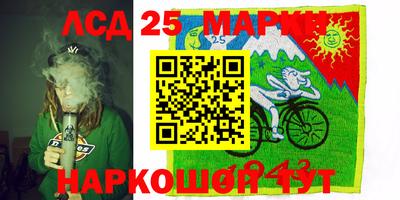 гидропоника Заводоуковск
