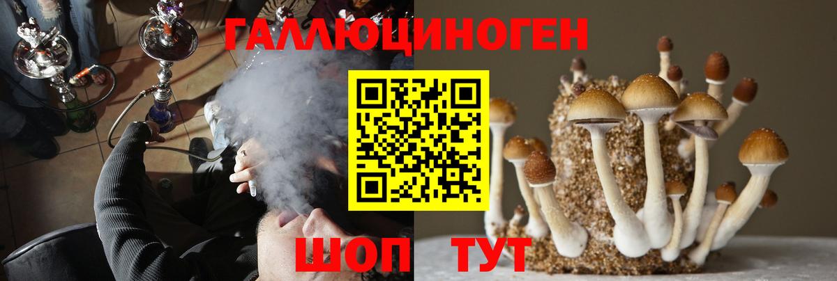 Галлюциногенные грибы прущие грибы  Вход с VPN  Псилоцибиновые грибы Psilocybe  Чебаркуль 